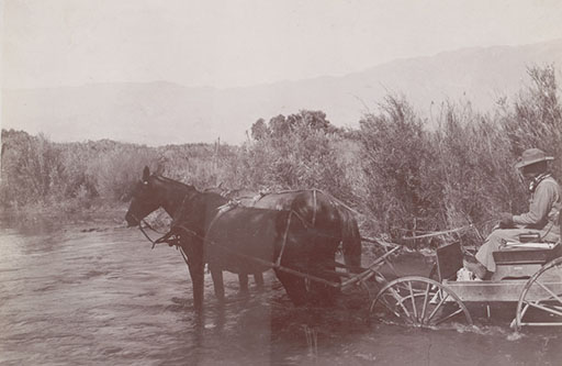 crossing shepherds creek